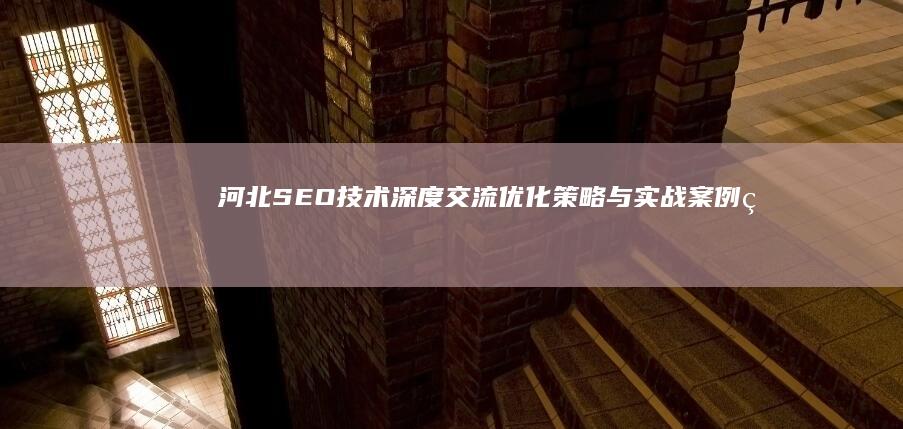 河北SEO技术深度交流：优化策略与实战案例研讨